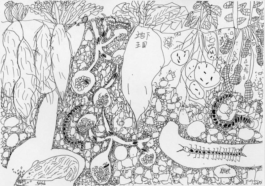 7岁时作品