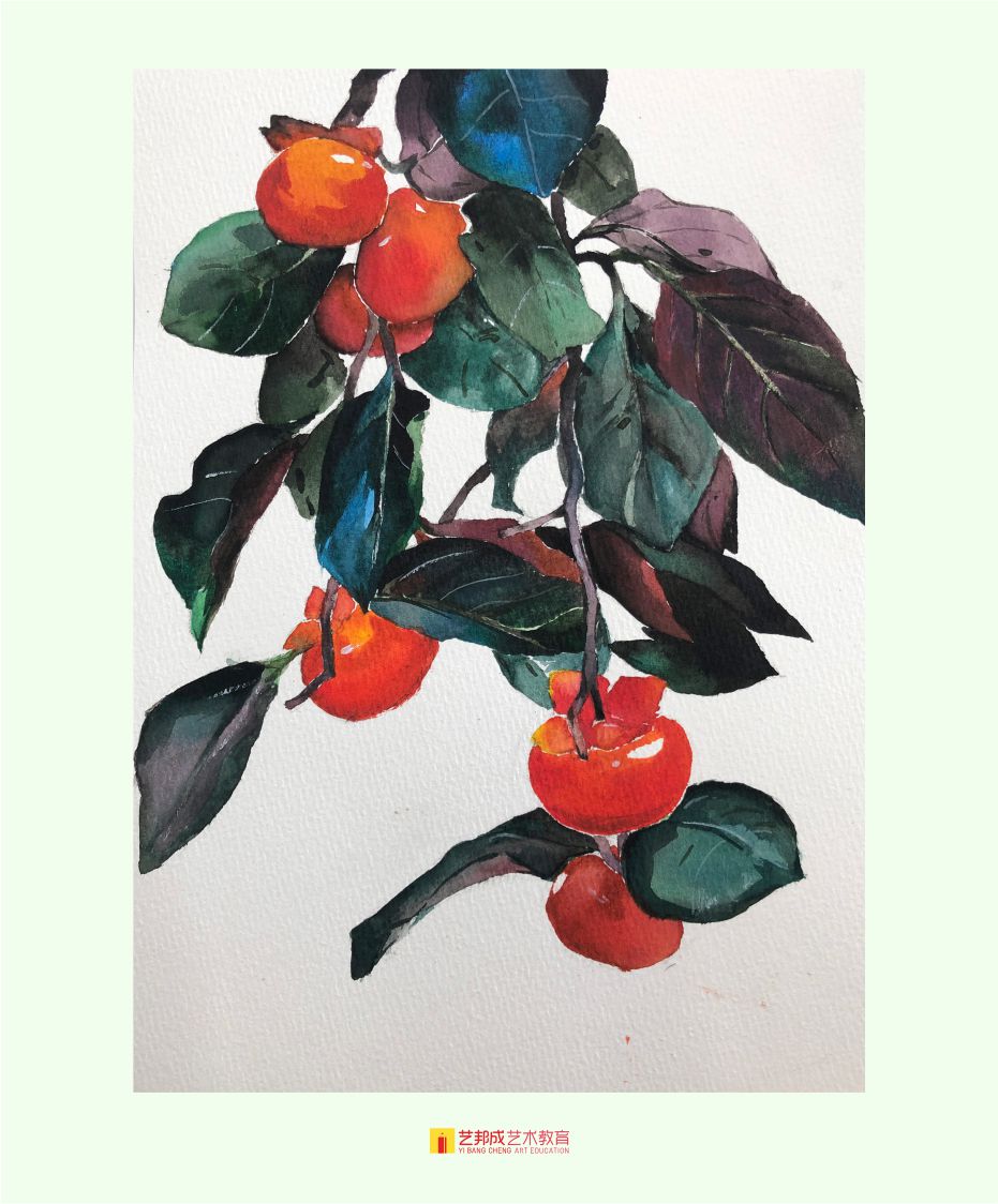 水彩作品/12-15岁学员作品