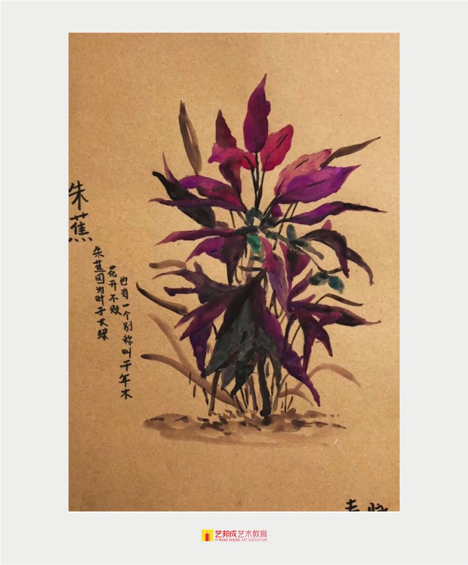 色彩风景/12-15岁学员作品
