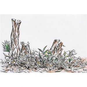 色彩风景/12-15岁学员作品