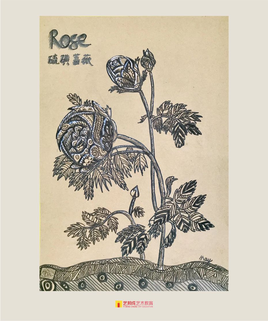 创意设计/10-12岁学员作品