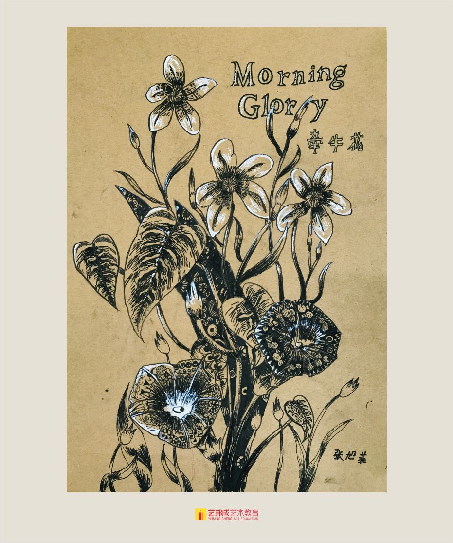 创意设计/10-12岁学员作品
