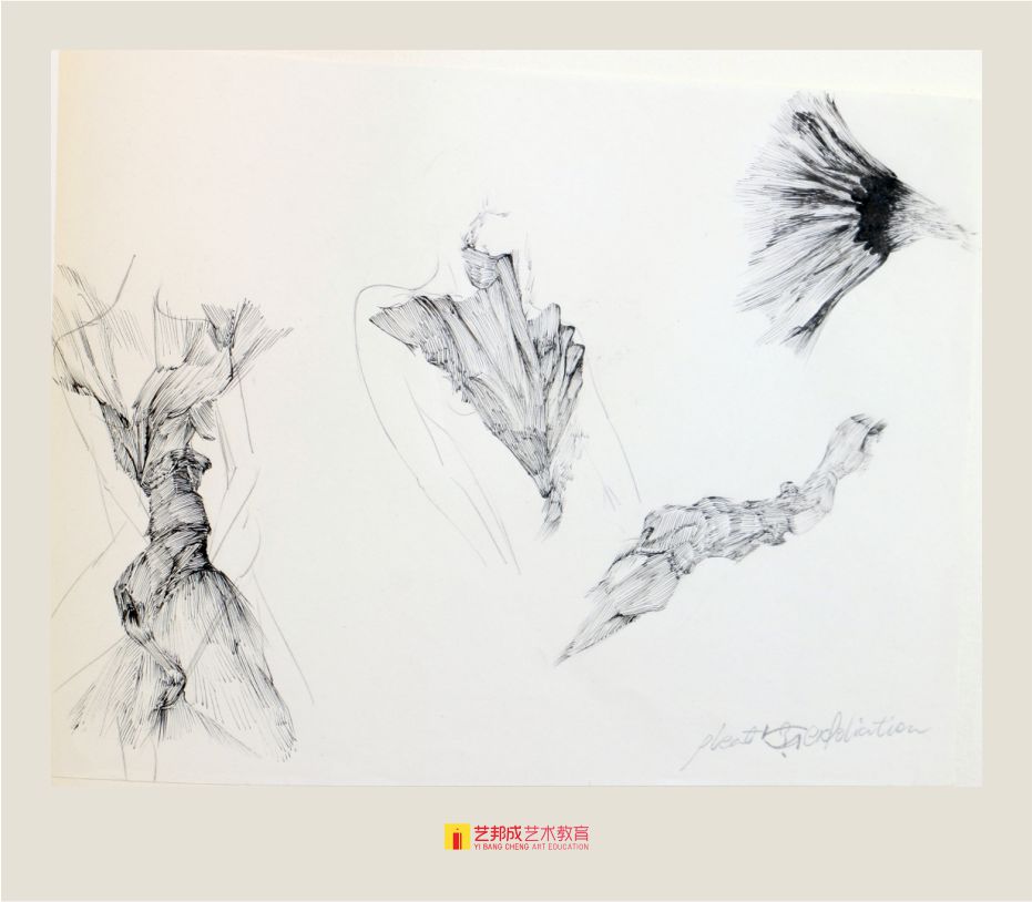 出国班/张旭桐作品