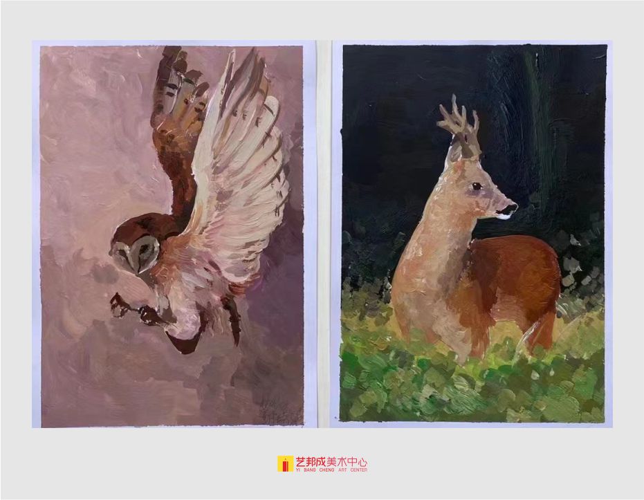 色彩课题/12-15岁学员作品