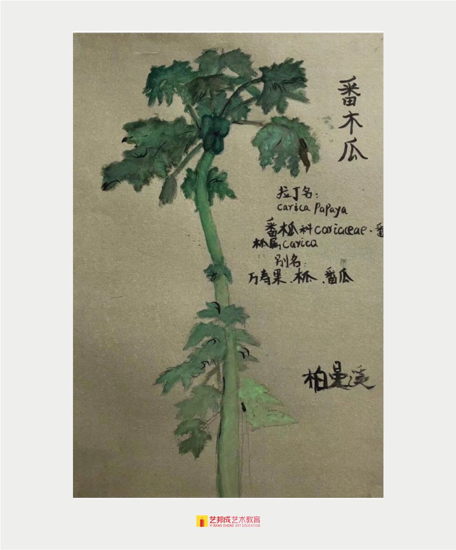美术兴趣培训班