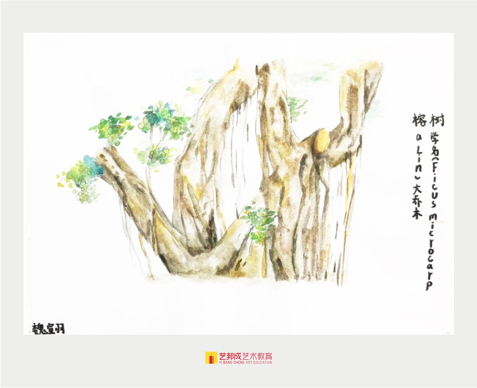 美术兴趣培训班