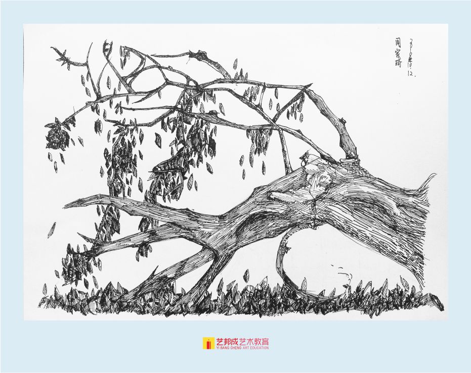 美术绘画培训班