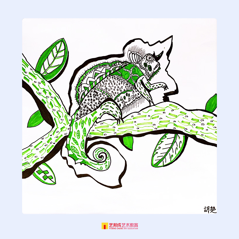 动物设计/8-10岁学员作品