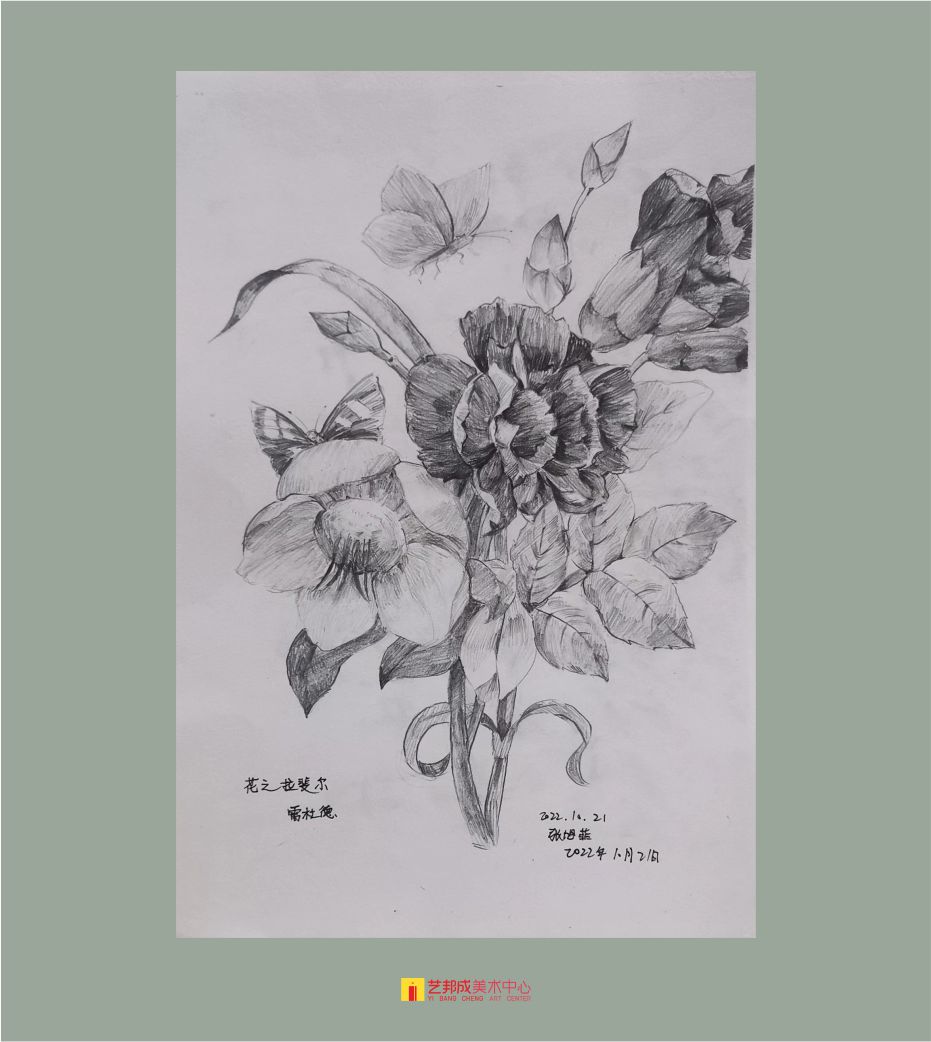 古植生物/12-15岁学员作品