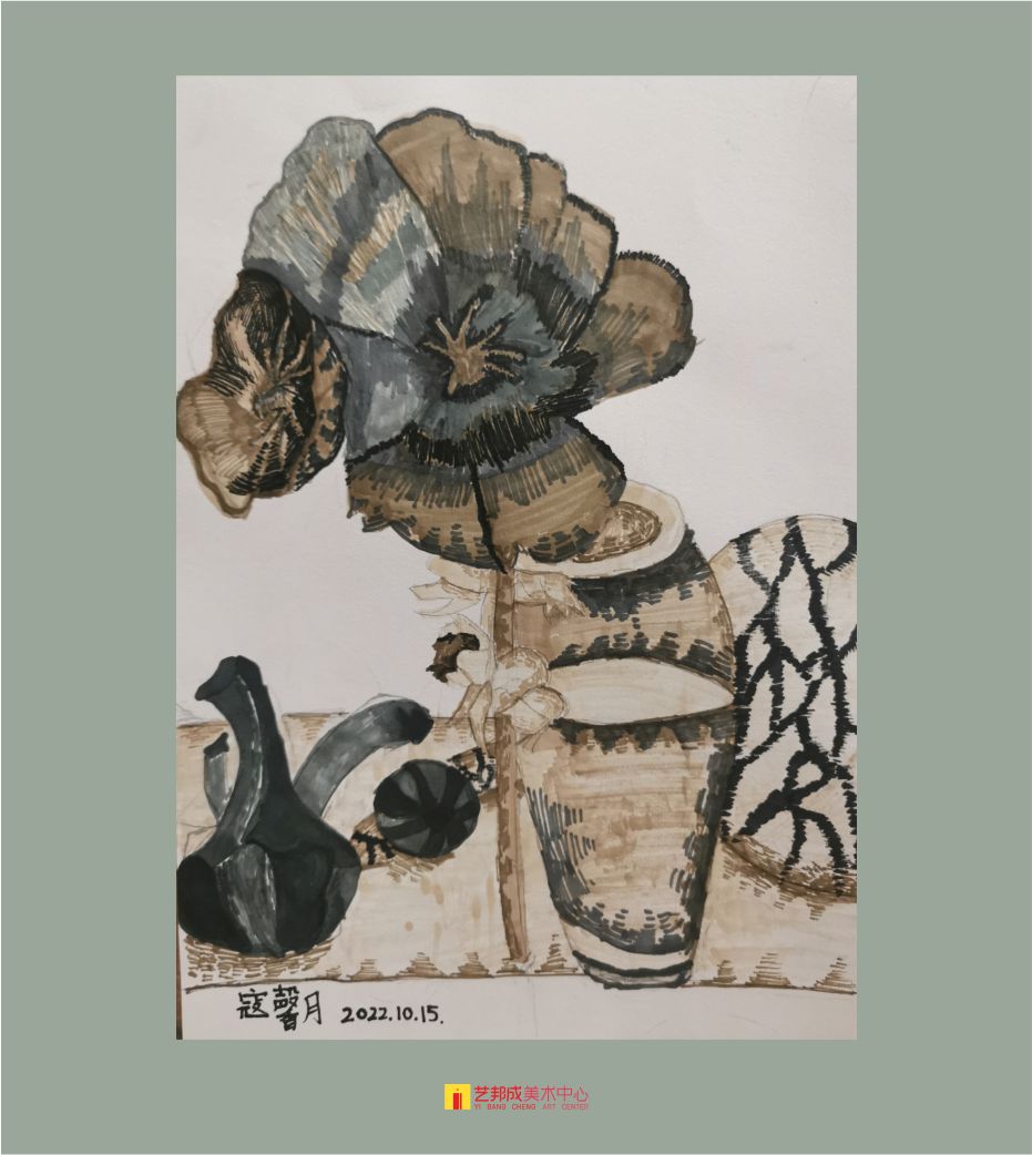 古植生物/12-15岁学员作品