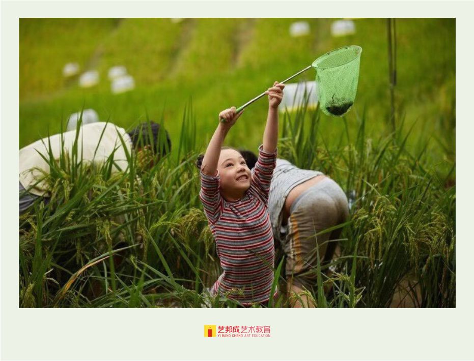 小学美术培训班有哪些