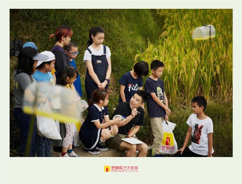 小学美术培训班有哪些